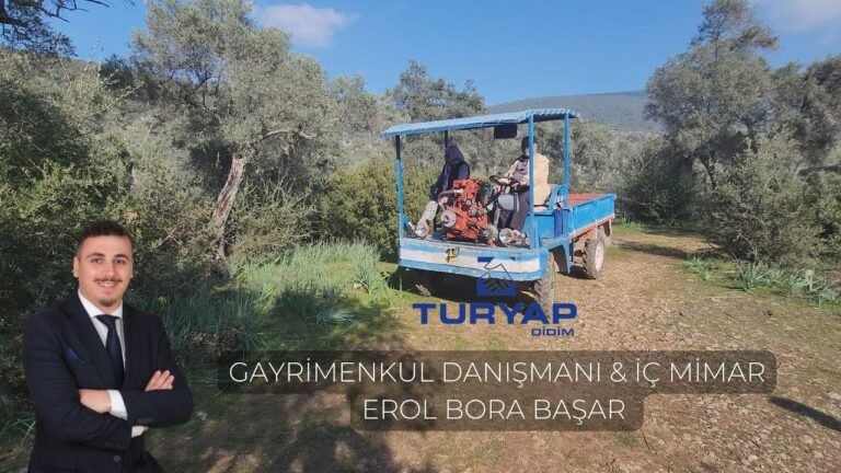 #21 TURYAP/ DİDİM MUĞLA MİLAS KAZIKLI KÖYÜNDE KAÇIRILMAYCAK YATIRIMLIK ZEYTİNLİK ARAZİSİ